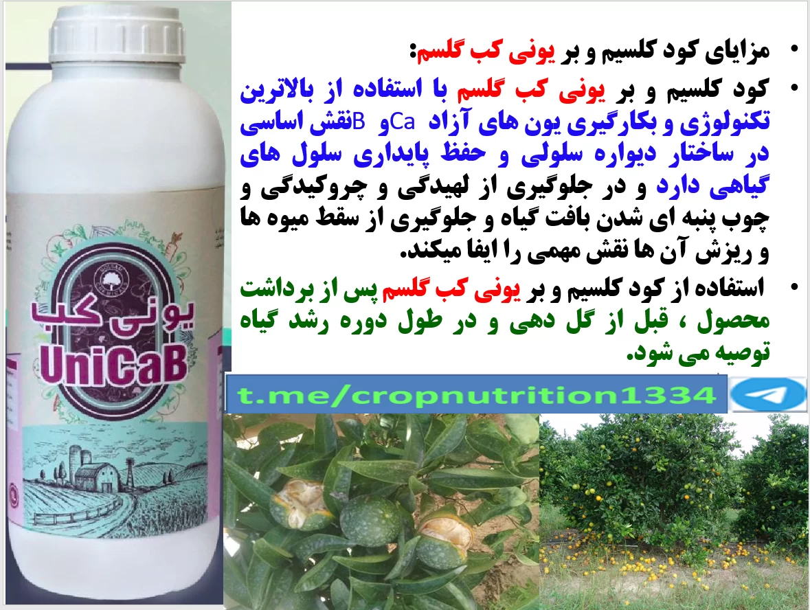 کاربرد کود یونی کب گل سم در درختان مرکبات به منظور افزایش کیفیت میوه ها – قسمت سوم