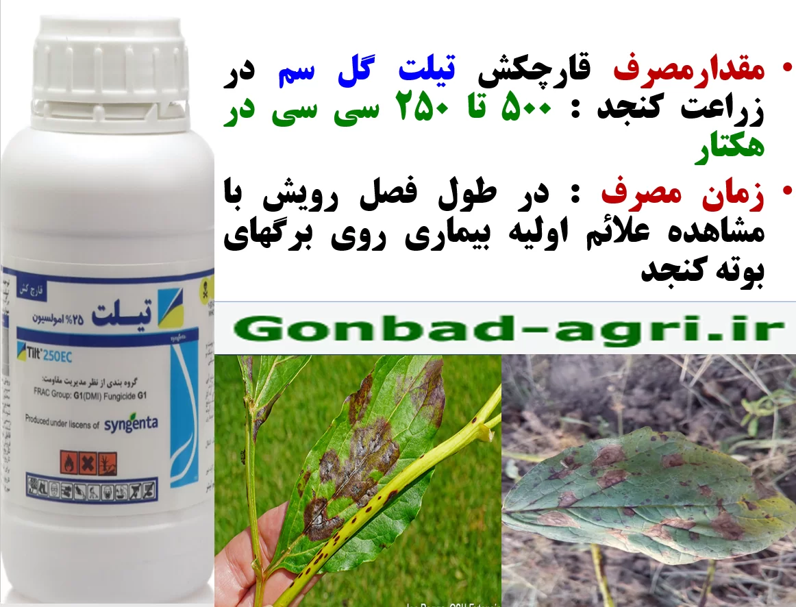 کاربرد قارچکش تیلت گل سم در کنترل بیماری های لکه برگی کنجد – قسمت اول