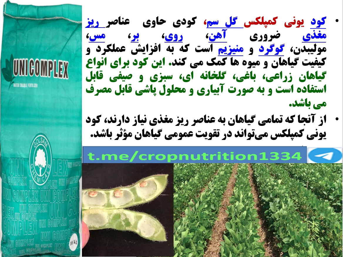 افزایش غلاف بندی و تولید دانه سویا با کود یونی کمپلکس گل سم – قسمت سوم