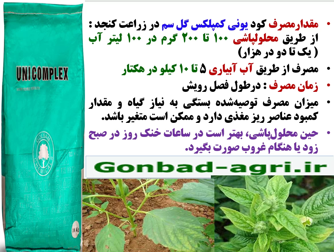 افزایش توان بوته های کنجد در تولید کپسول و دانه با کود یونی کمپلکس گل سم- قسمت دوم