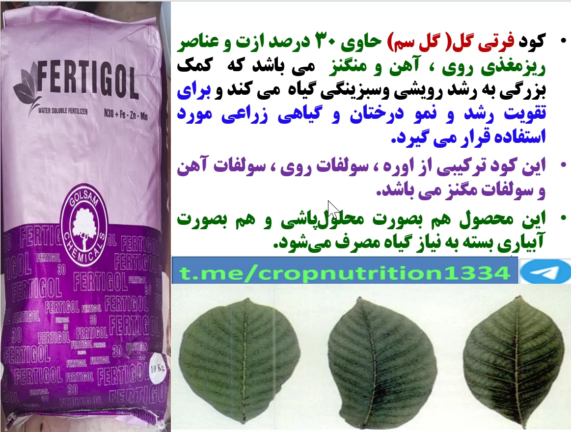 اهمیت کاربرد کود فرتی گل ۳۰% ازت دارای ریزمغذی در باغات درختان گردو- قسمت سوم