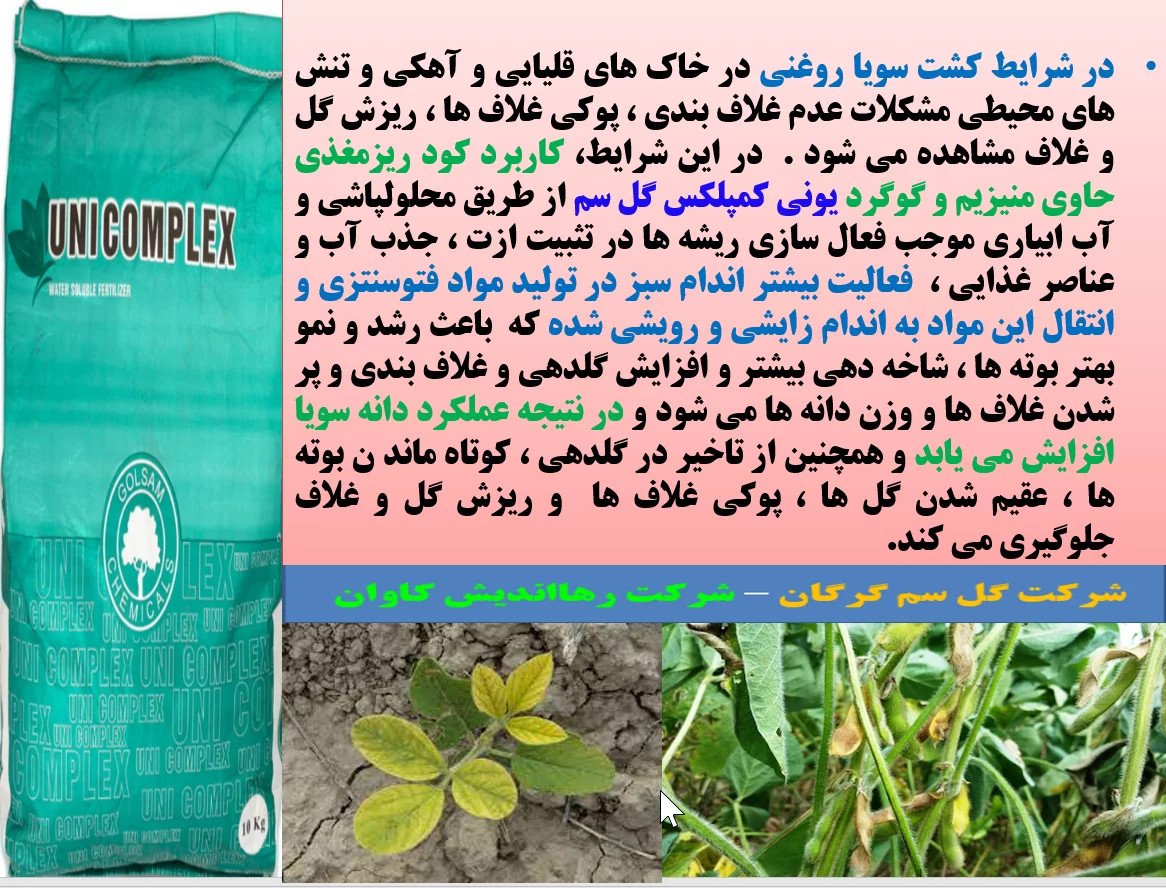 افزایش غلاف بندی و تولید دانه سویا با کود یونی کمپلکس گل سم – قسمت اول