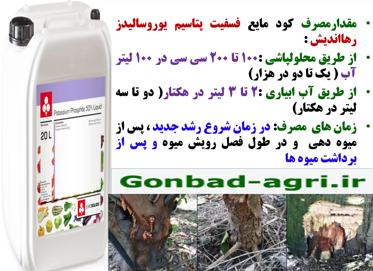 کنترل بیماری های درختان مرکبات و افزایش تولید و کیفیت میوه های آن – قسمت دوم