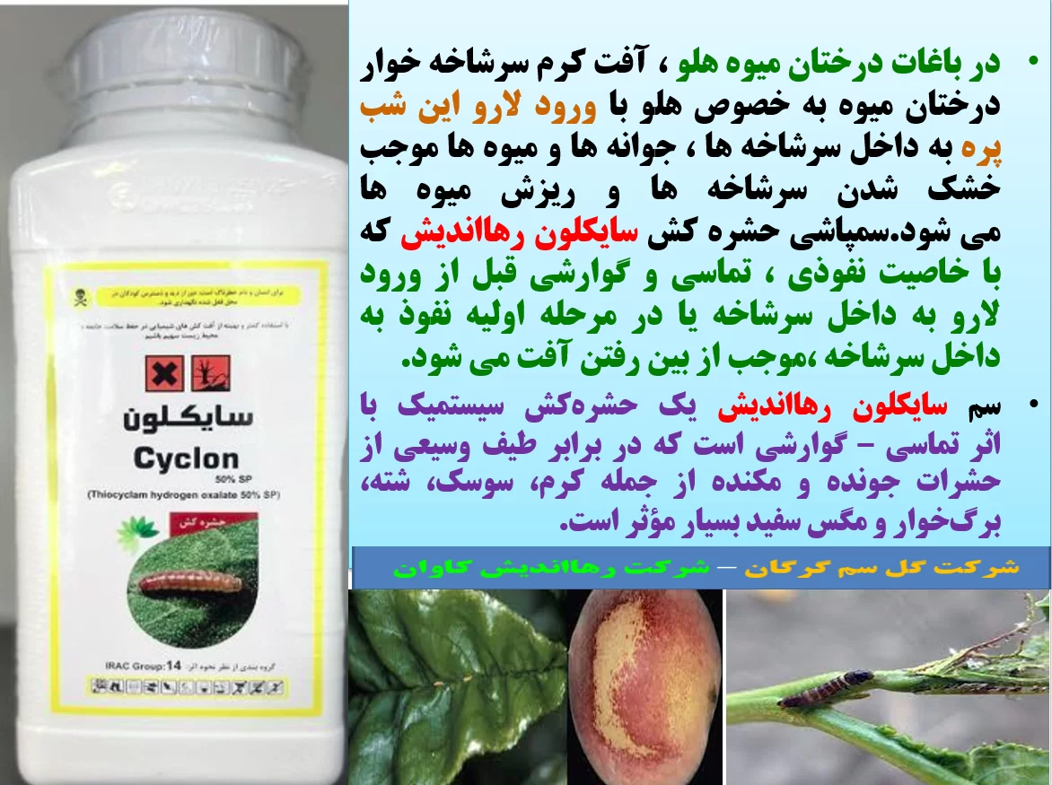 حشره کش سایکلون رهااندیش کنترل کننده آفات مکنده و جونده درختان میوه به خصوص کرم سرشاخه خوار  – قسمت اول