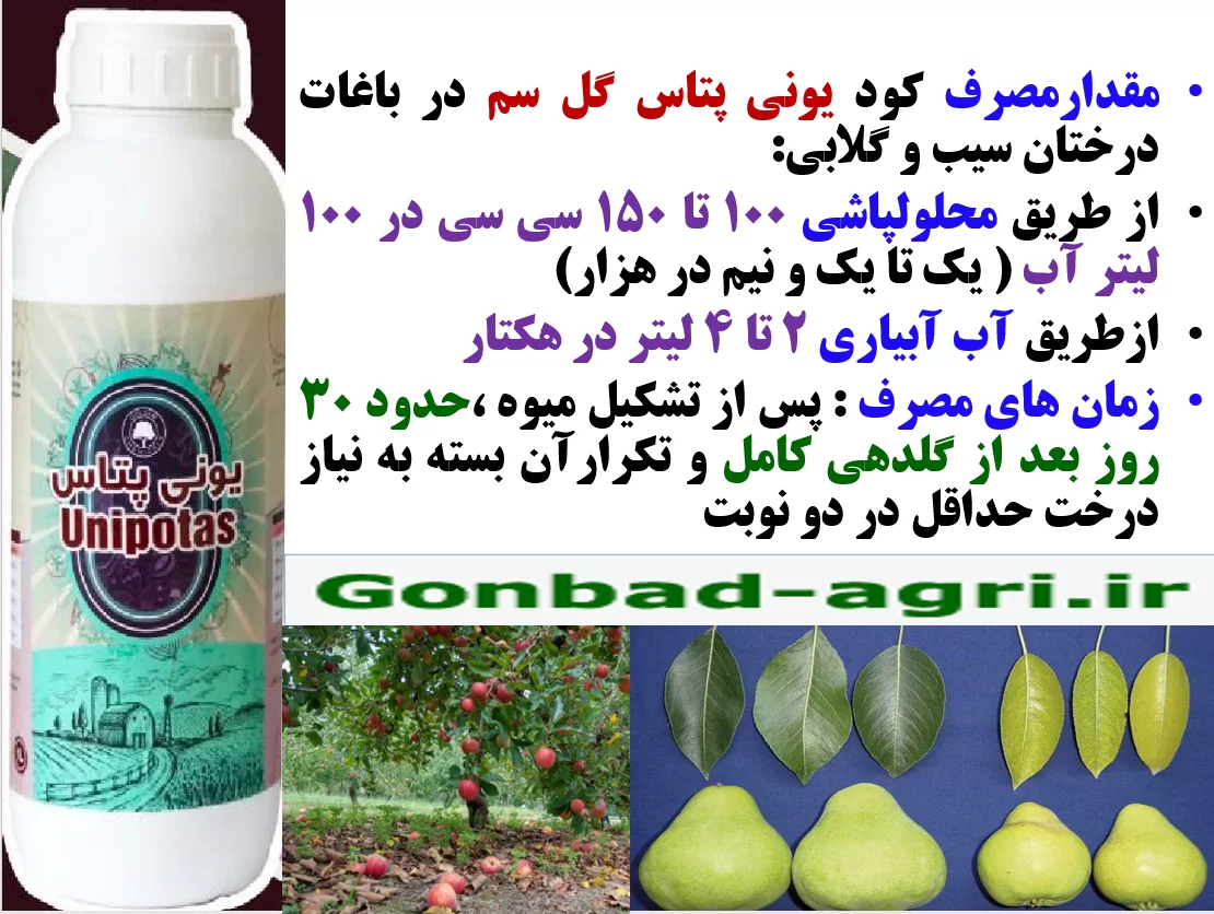 افزایش کیفیت میوه های سیب و گلابی با کود یونی پتاس گل سم – قسمت دوم