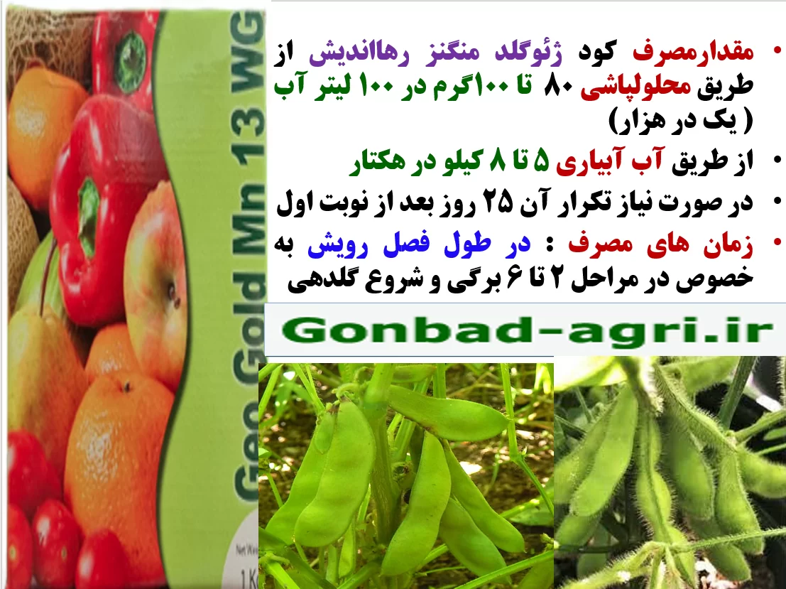 اهمیت مصرف کود ژئوگلد منگنز رهااندیش در زراعت سویا – قسمت دوم