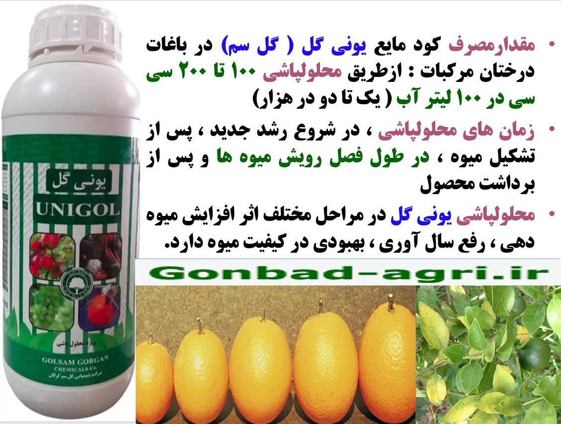 افزایش کیفیت میوه های مرکبات با یونی گل گلسم – قسمت دوم