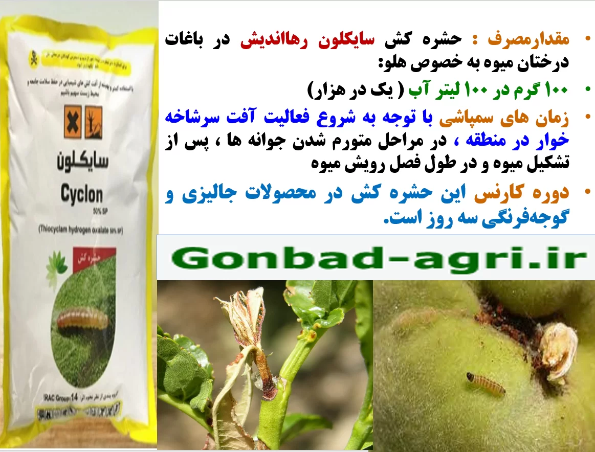 حشره کش سایکلون رهااندیش کنترل کننده آفات مکنده و جونده درختان میوه به خصوص کرم سرشاخه خوار – قسمت دوم