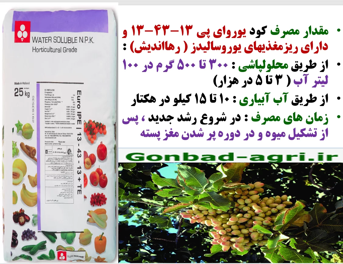 کود فسفر بالای یوروسالیدز رهااندیش برای افزایش تولید و کیفیت پسته – قسمت دوم