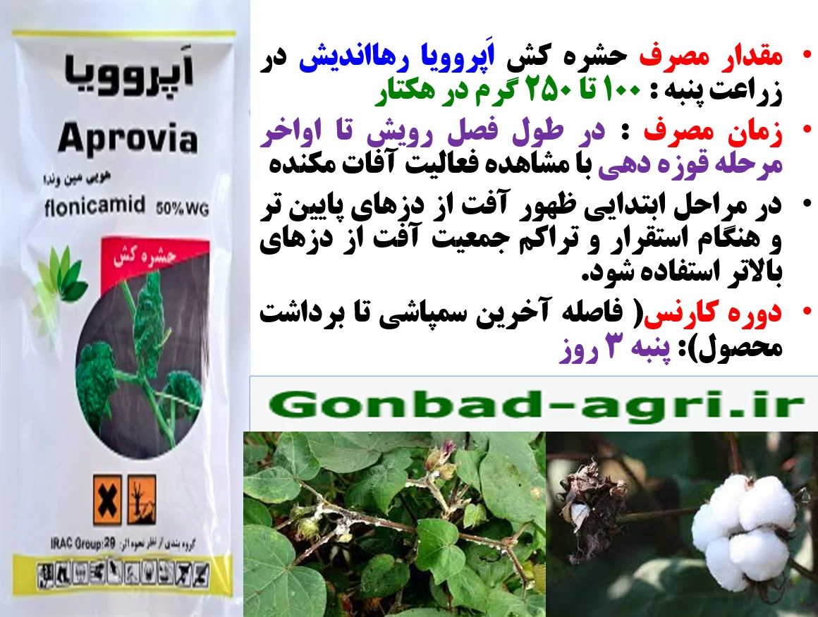 کنترل آفات مکنده زراعت پنبه با حشره کش اپروویا رهااندیش – قسمت دوم