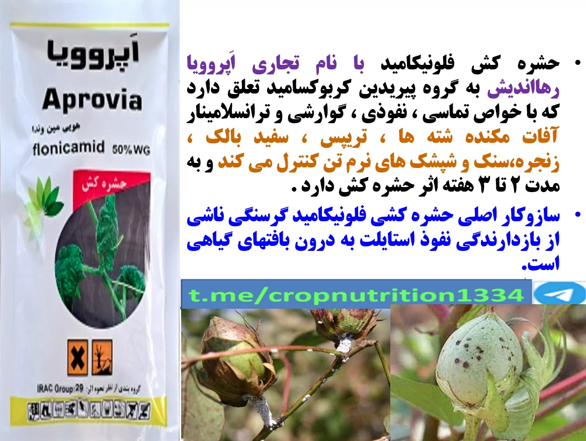 کنترل آفات مکنده زراعت پنبه با حشره کش اپروویا رهااندیش – قسمت سوم