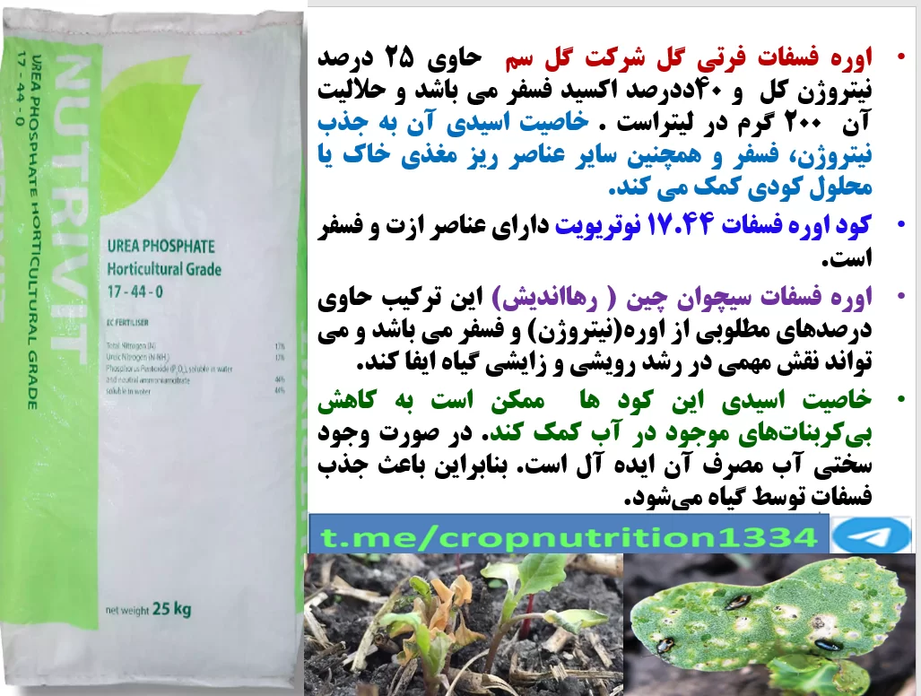 کاربرد کود اوره فسغات فرتی گل سم در اوایل رویش بوته های کلزا – قسمت سوم