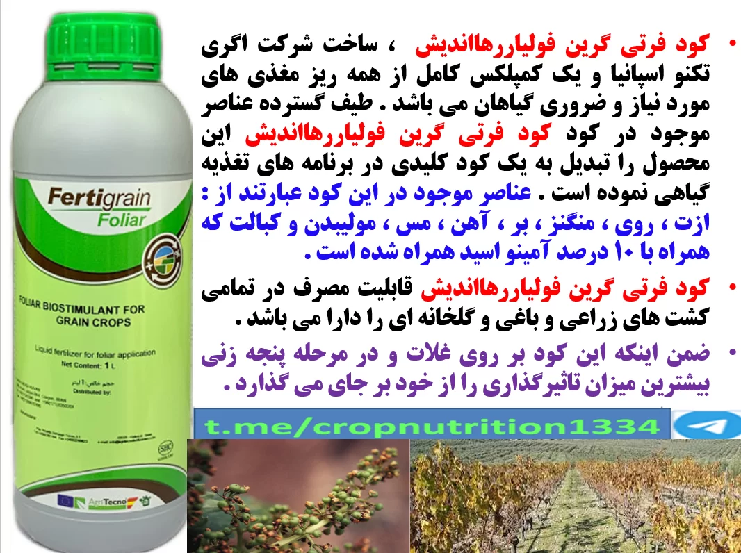 کود فرتی گرین فولیار رهااندیش برای افزایش ذخایر کربوهیدات در اندام درخت انگور- قسمت سوم