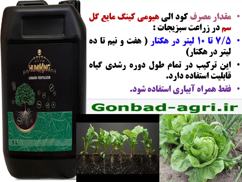 کاربرد کودآلی هیومی کینگ مایع گل سم برای افزایش تولید سبزیجات – قسمت دوم