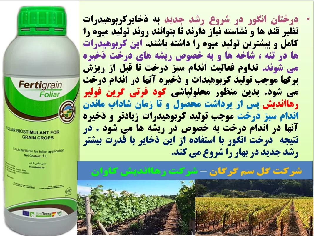 کود فرتی گرین فولیار رهااندیش برای افزایش ذخایر کربوهیدات  در اندام درخت انگور- قسمت اول