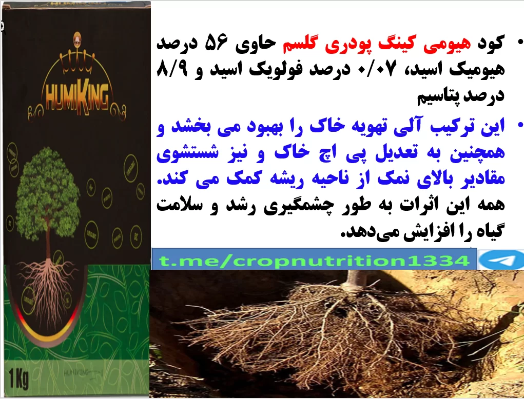 تقویت ریشه درختان میوه در فصول پائیز و زمستان با هیومی کینگ پودری گل سم – قسمت سوم