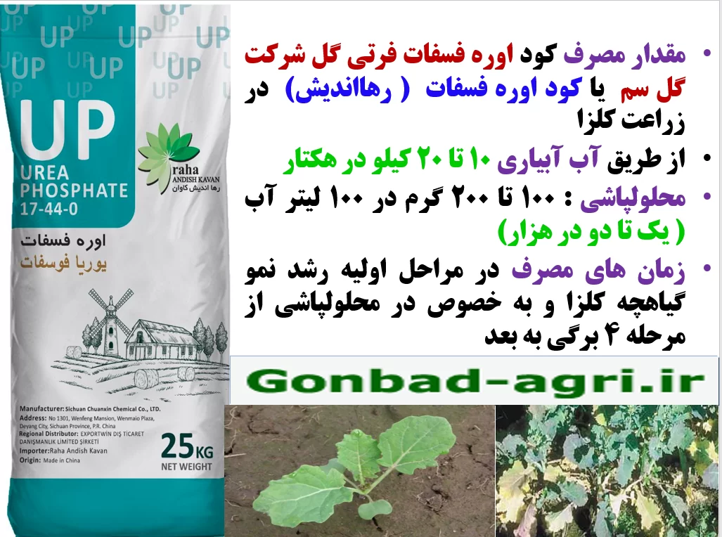 کاربرد کود اوره فسغات فرتی گل سم در اوایل رویش بوته های کلزا – قسمت دوم