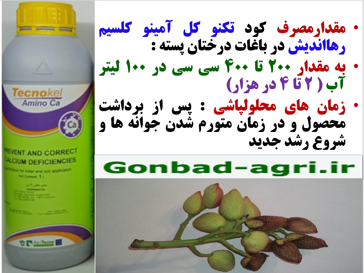 اهمیت محلولپاشی کود تکنو کل آمینو کلسیم رهااندیش در باغات پسته – قسمت دوم