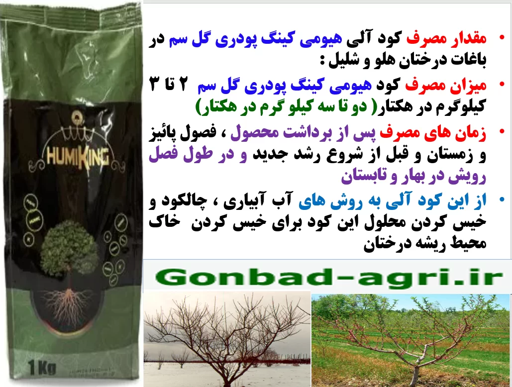 تقویت ریشه درختان میوه در فصول پائیز و زمستان با هیومی کینگ پودری گل سم – قسمت دوم