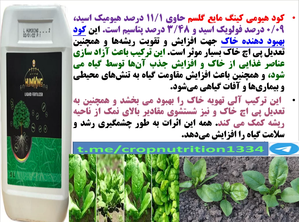 کاربرد کودآلی هیومی کینگ مایع گل سم برای افزایش تولید سبزیجات – قسمت سوم