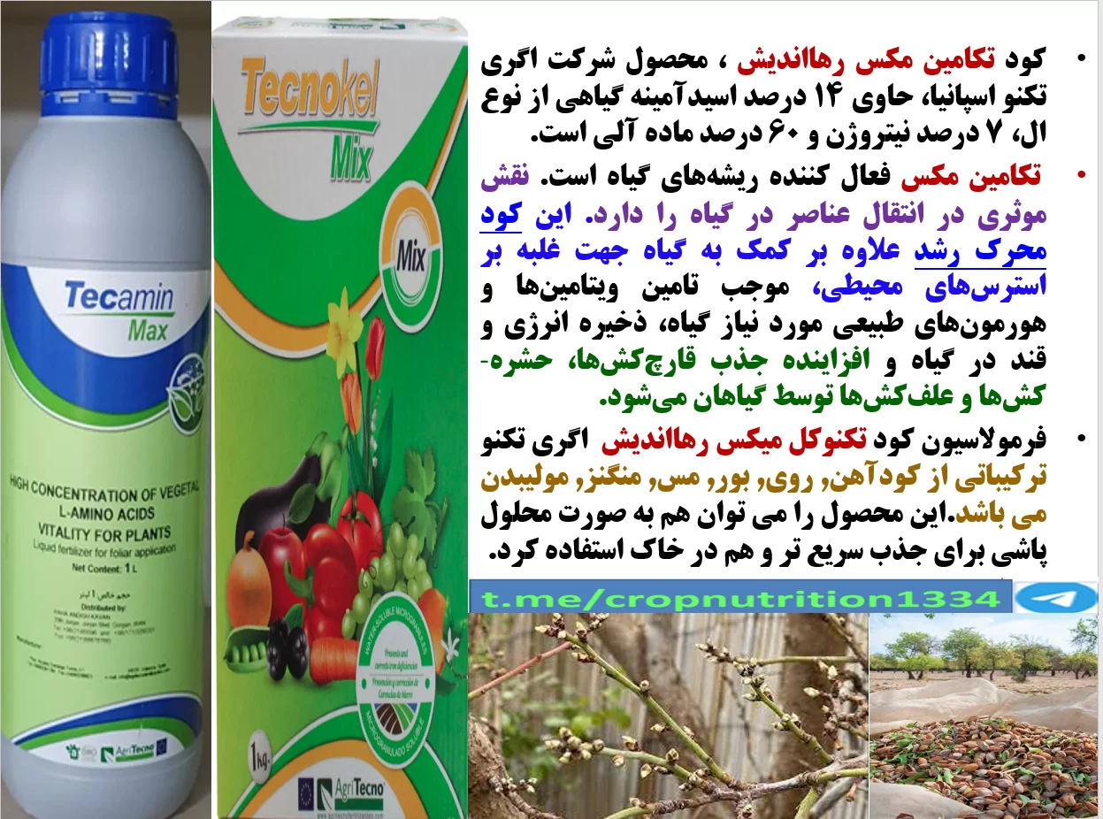 مقاوم سازی درختان بادام در برابر تنش ها با کود تکامین مکس و تکنوکل میکس – قسمت سوم