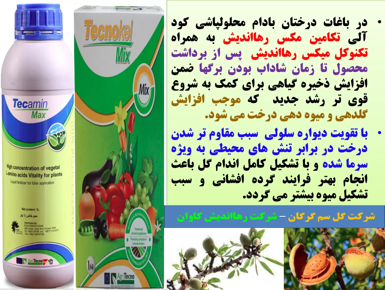 مقاوم سازی درختان بادام در برابر تنش ها با کود تکامین مکس و تکنوکل میکس – قسمت اول