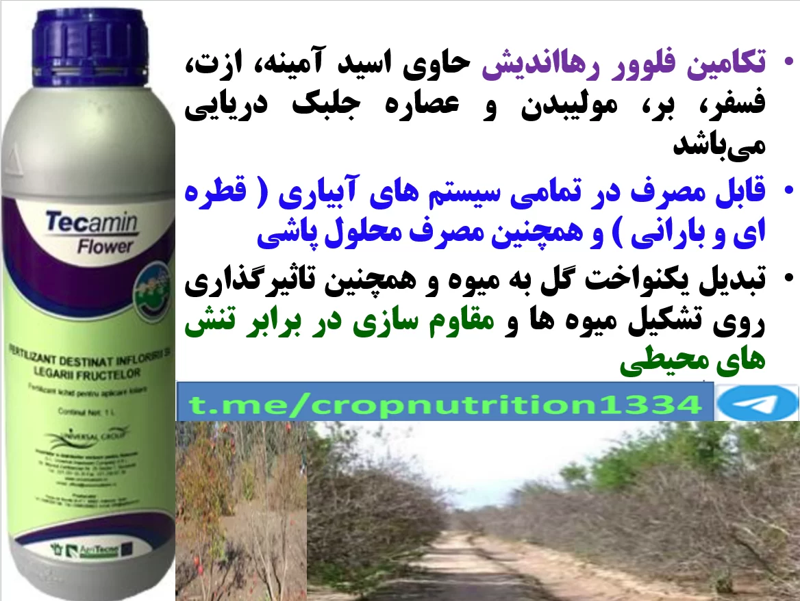 افزایش مقاومت درختان انار در برابر تنش های محیطی با کود تکامین فلوور- قسمت سوم