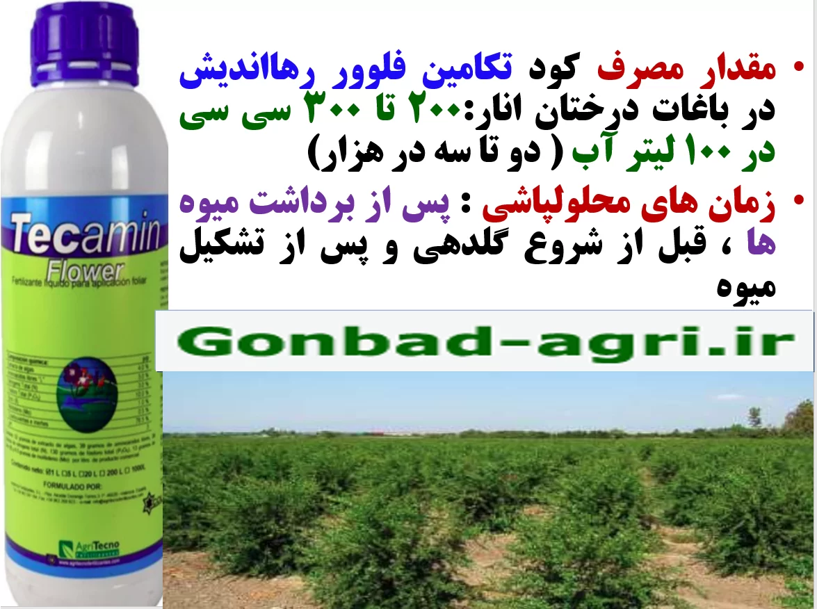 افزایش مقاومت درختان انار در برابر تنش های محیطی با کود تکامین فلوور- قسمت دوم