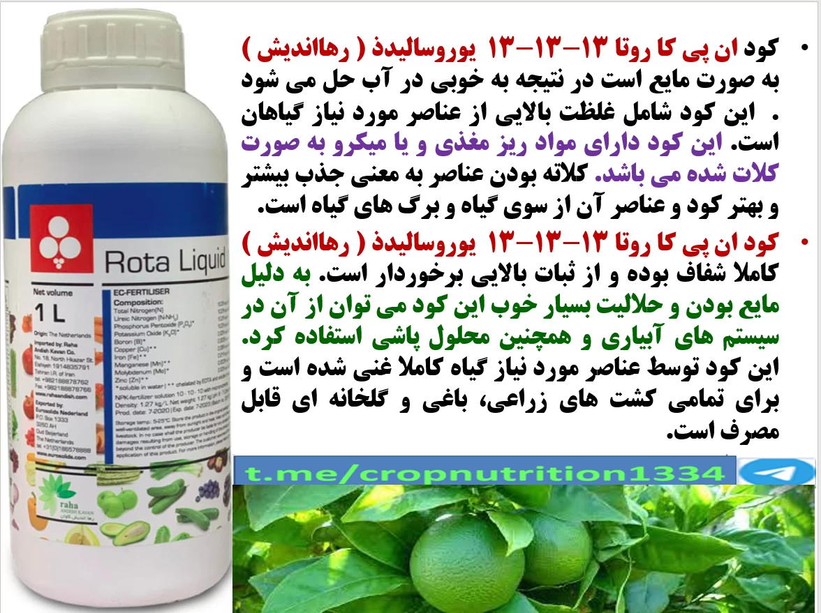 کود مایع روتا رهااندیش برای تقویت درختان مرکبات به منظور افزایش تولید میوه – قسمت سوم