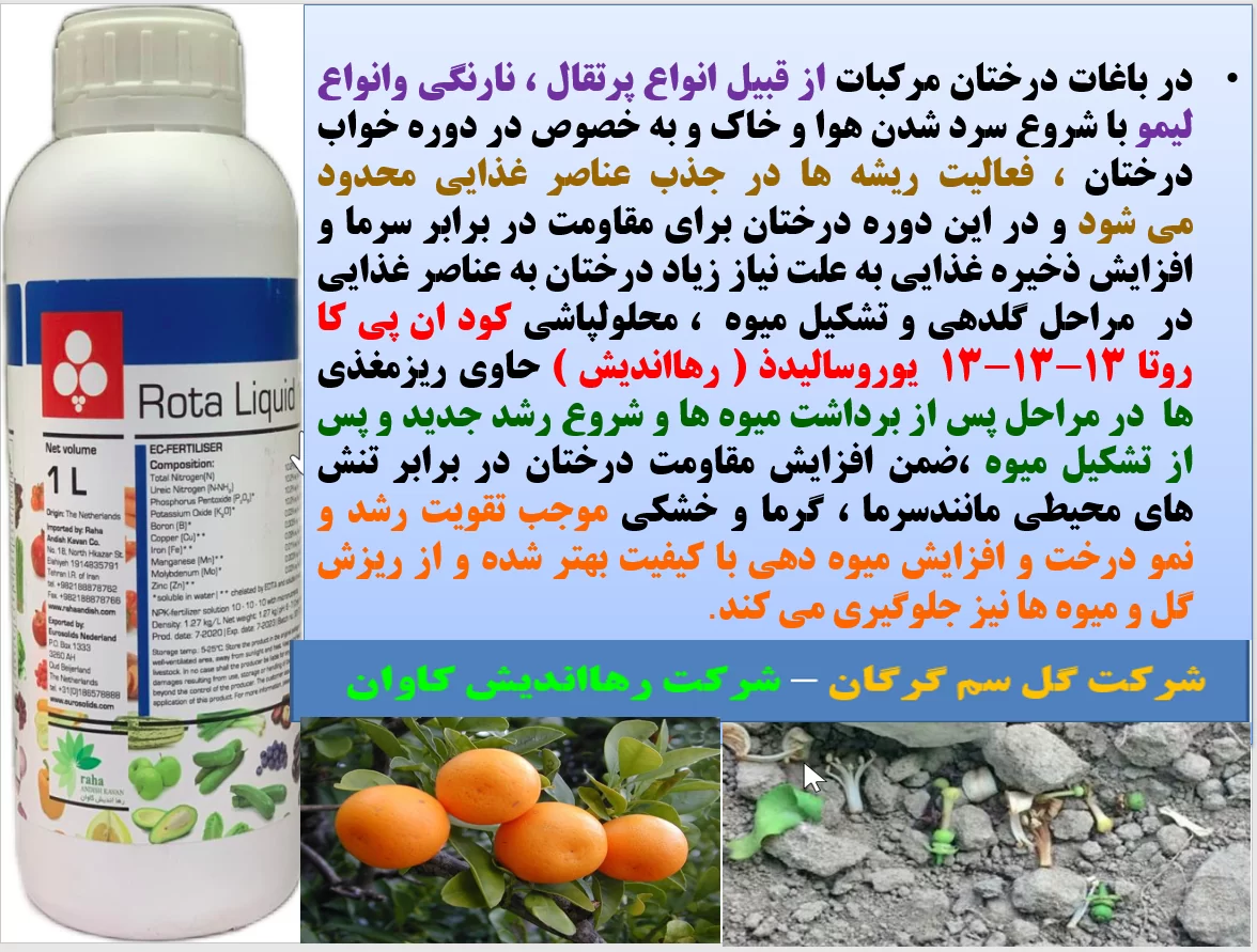 کود مایع روتا رهااندیش برای تقویت درختان مرکبات به منظور افزایش تولید میوه – قسمت اول