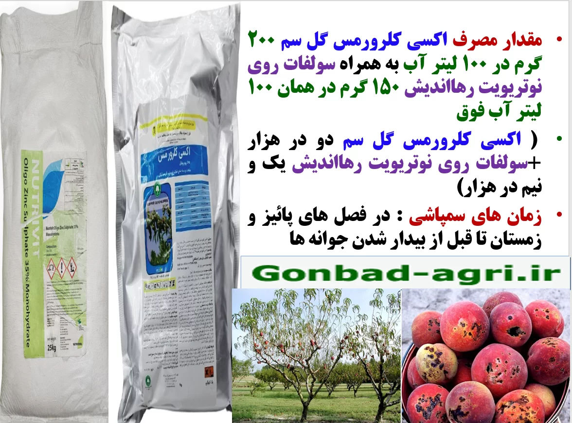 کنترل بیماری های قارچی و باکتریایی درختان میوه هسته دار در پائیز و زمستان – قسمت دوم