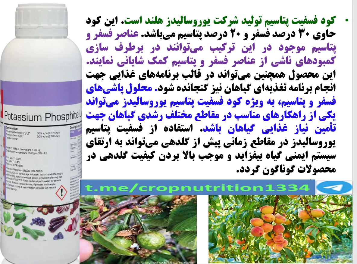 فسفیت پتاسیم یوروسالیدذ رهااندیش برای تقویت درختان میوه در برابر تنش های محیطی – قسمت سوم