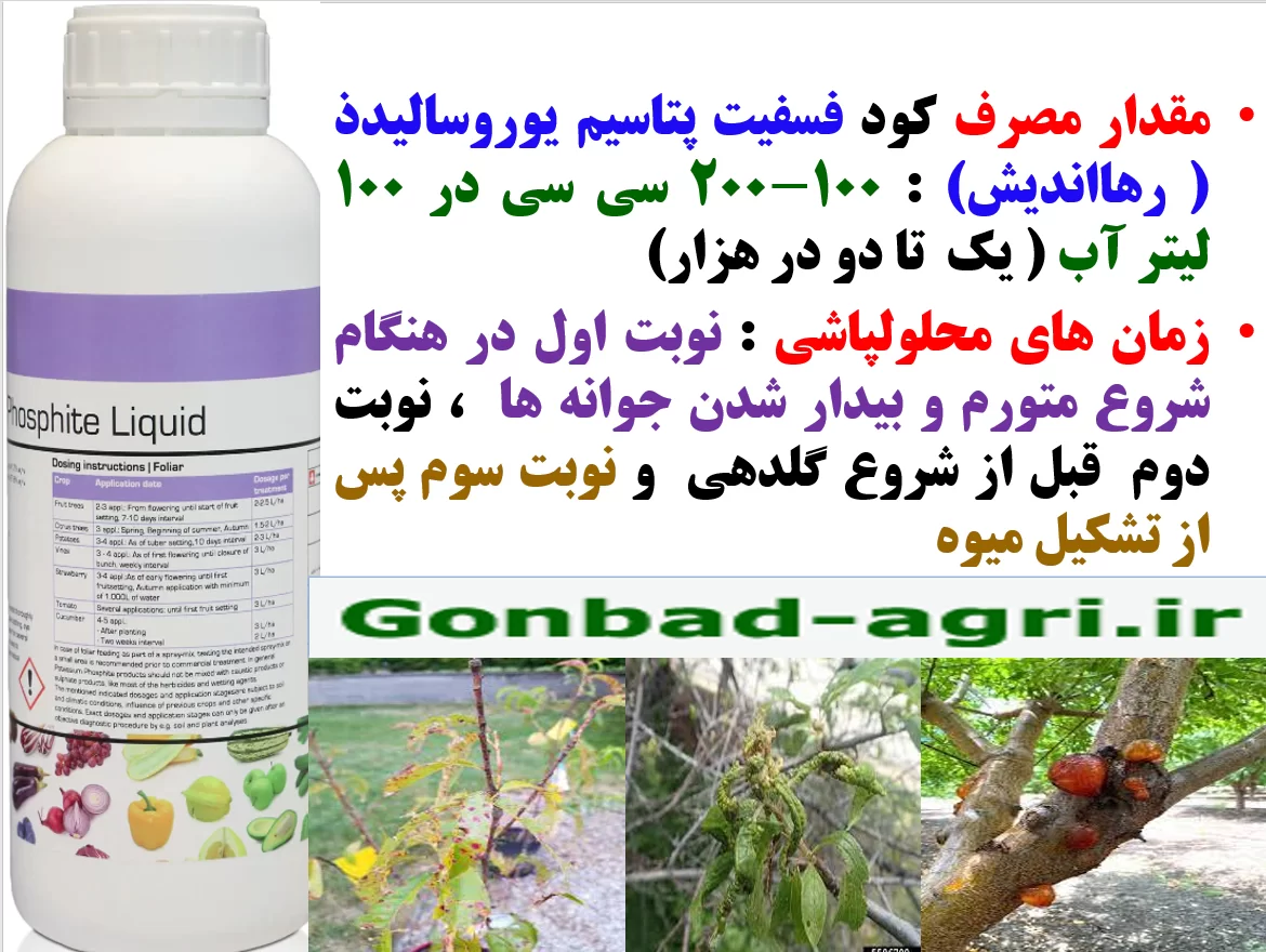 فسفیت پتاسیم یوروسالیدذ رهااندیش برای تقویت درختان میوه در برابر تنش های محیطی – قسمت دوم