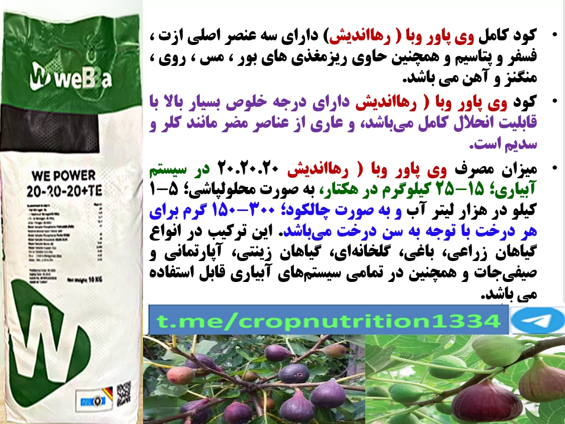 کودوی پاور وبا سه بیست رهااندیش برای تقویت میوه دهی درختان انجیر- قسمت سوم