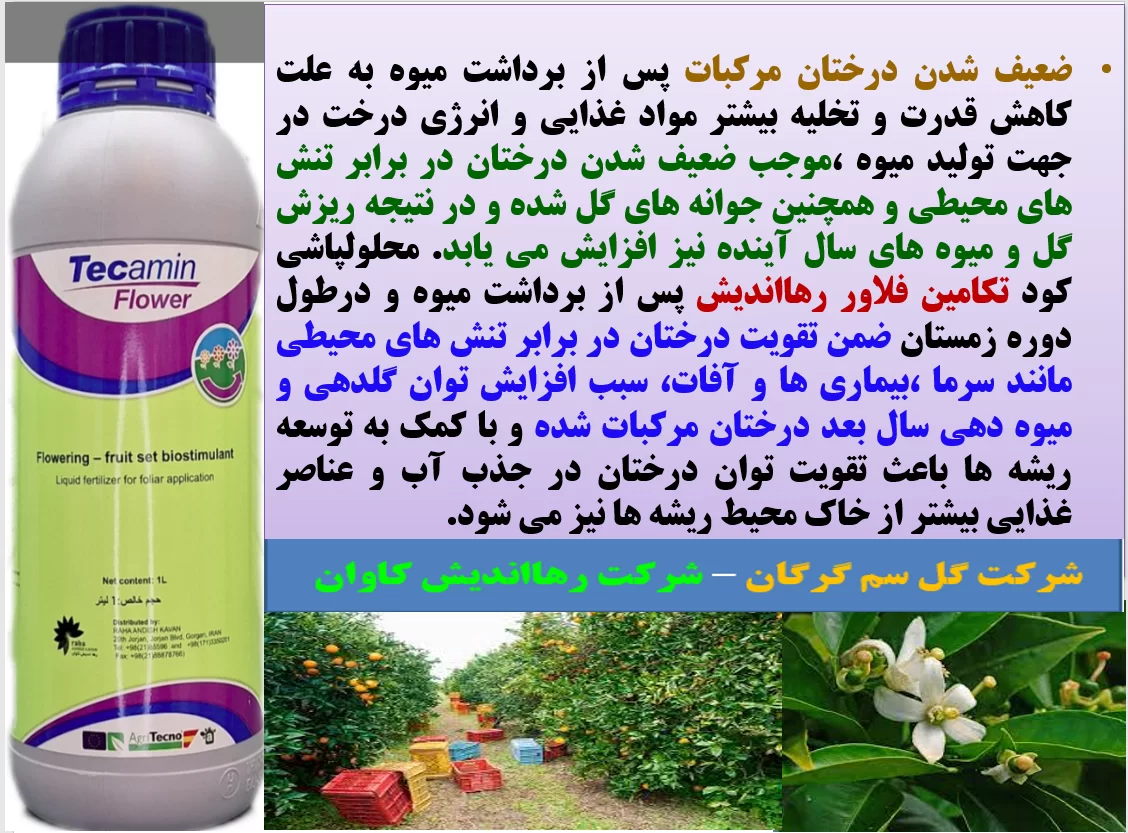 اثر مهم کود آلی تکامین فلاور رهااندیش در تقویت درختان مرکبات – قسمت اول