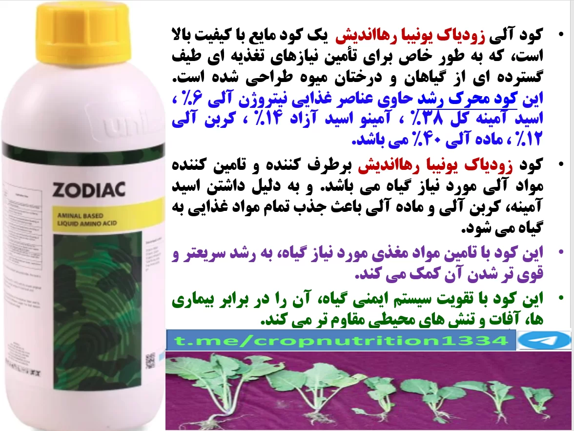 کود آلی زودیاک یونیبا رهااندیش برای افزایش توان بوته های کلزا – قسمت سوم