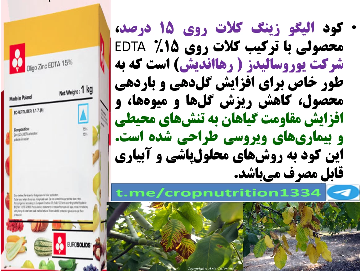 کاربرد کود الیگو زینک یورسالیدز برابر افزایش توان میوه دهی درختان گردو – قسمت سوم