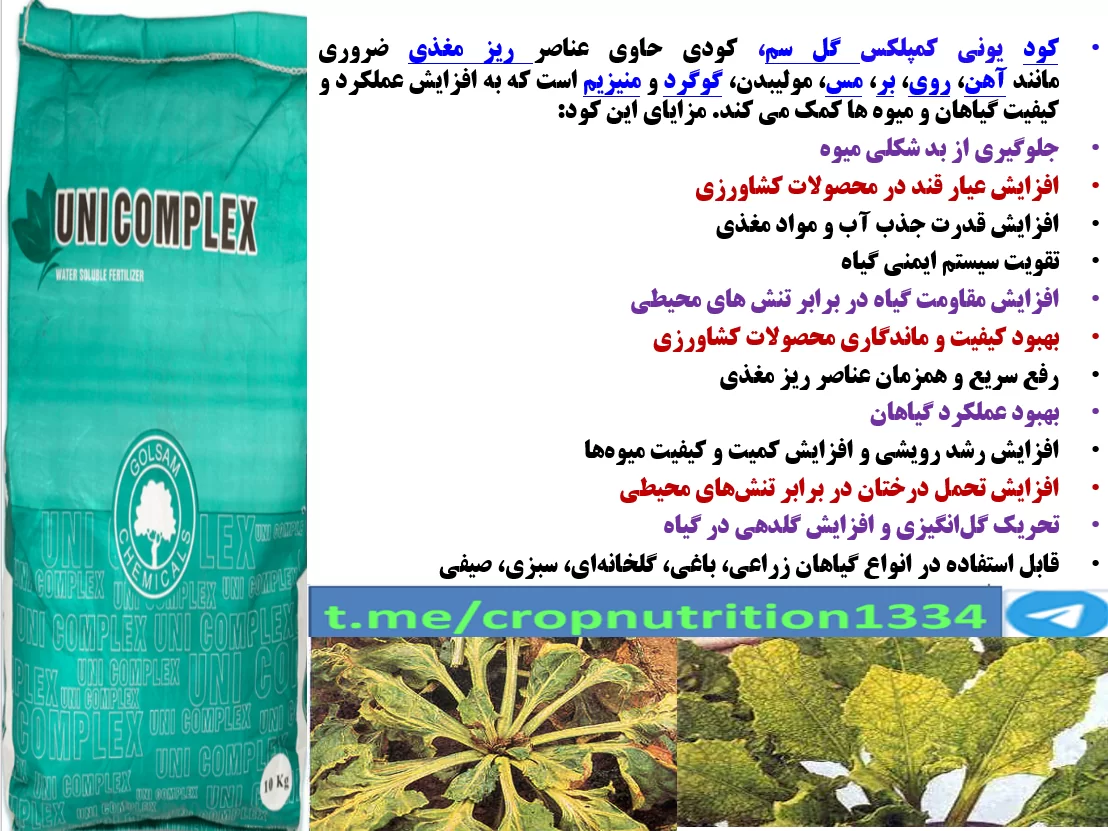 افزایش تولید چغندر و عیار قند آن با کود یونی کمپلکس گل سم – قسمت سوم