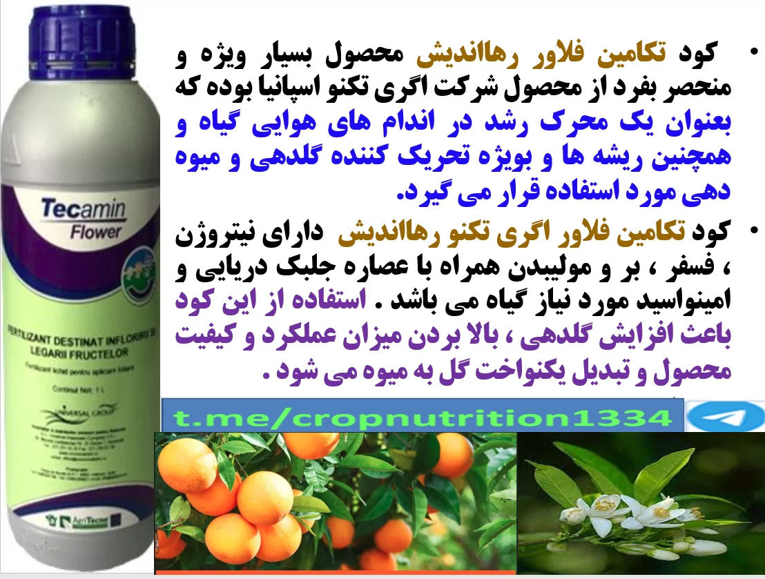 اثر مهم کود آلی تکامین فلاور رهااندیش در تقویت درختان مرکبات – قسمت سوم