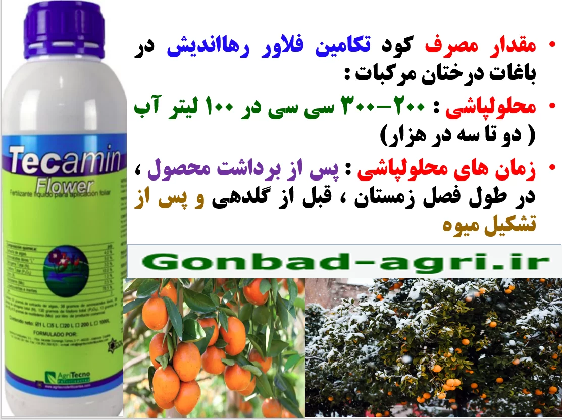 اثر مهم کود آلی تکامین فلاور رهااندیش در تقویت درختان مرکبات – قسمت دوم