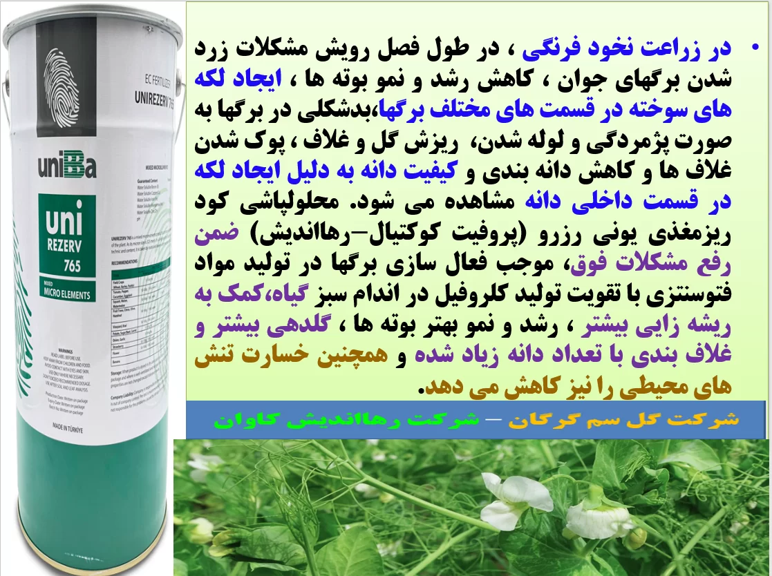 تاثیر کود یونی رزرو یا پروفیت کوکتیل رهااندیش در افزایش تولید نخود فرنگی – قسمت اول