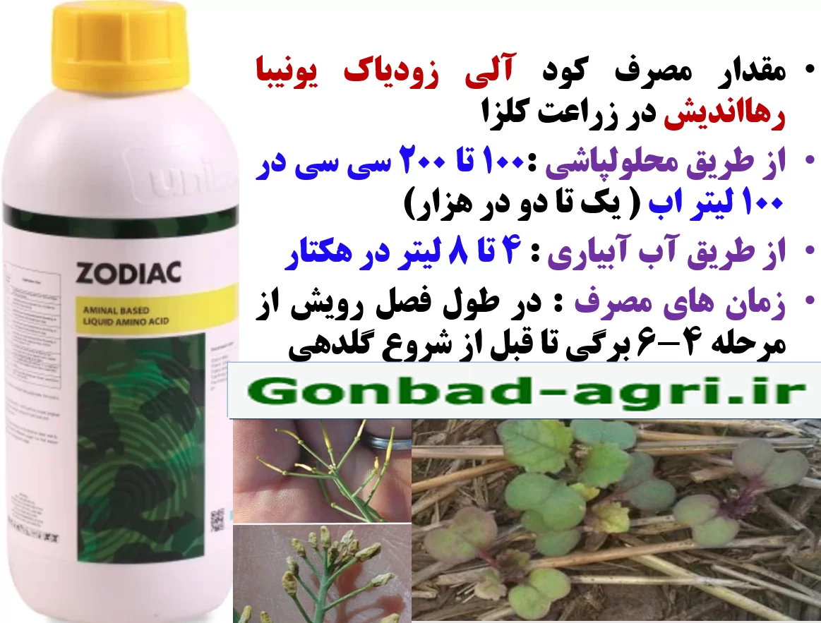 کود آلی زودیاک یونیبا رهااندیش برای افزایش توان بوته های کلزا – قسمت دوم