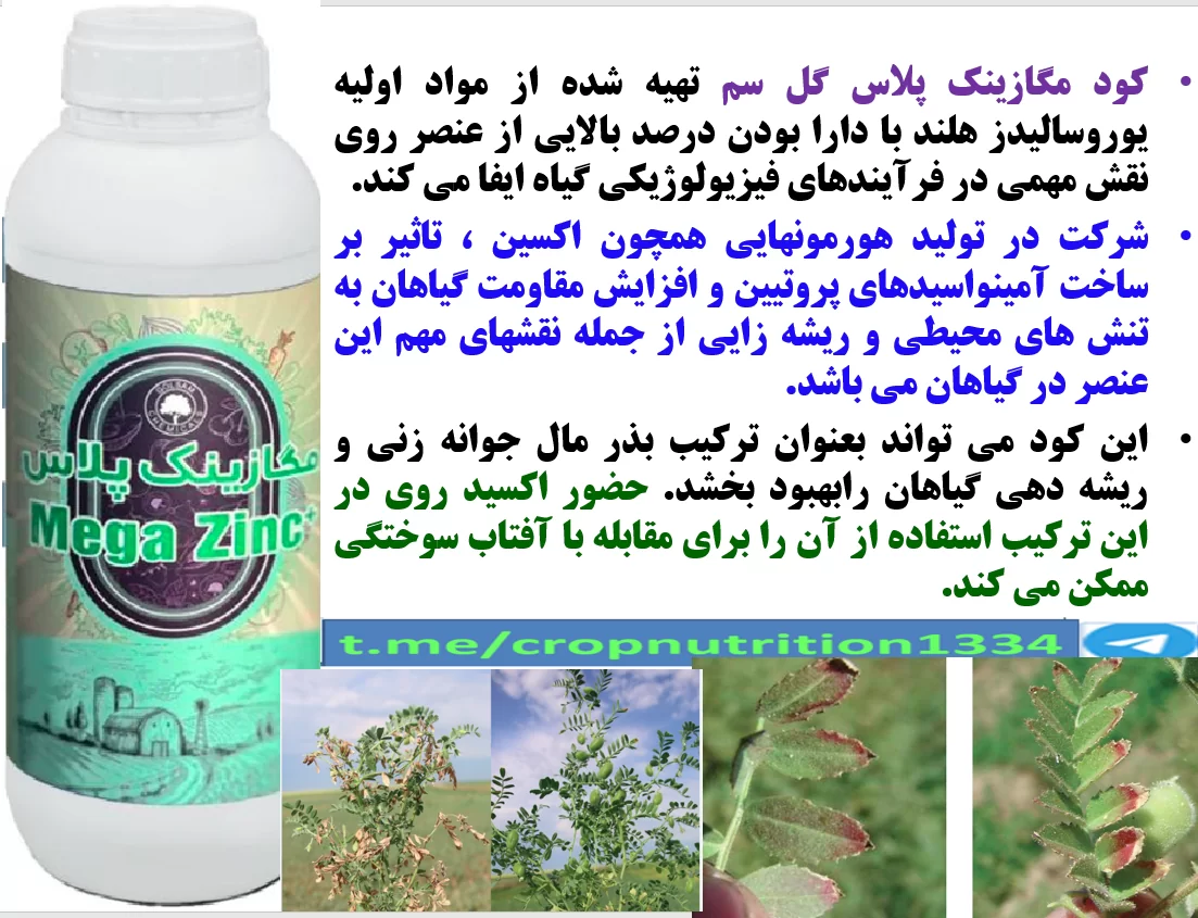 کود روی مگازینک پلاس گل سم برای بذرمال نخود معمولی – قسمت سوم