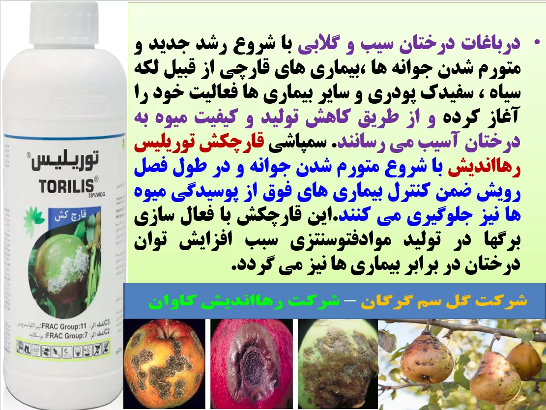 کنترل بیماری های درختان سیب و گلابی با قارچکش توریلیس رهااندیش- قسمت اول