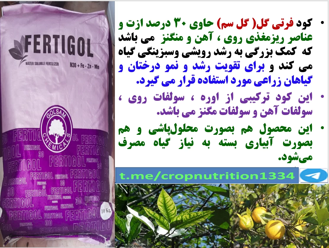 افزایش تولید و کیفیت میوه های مرکبات با کود فرتی گل ازت۳۰% گل سم – قسمت سوم