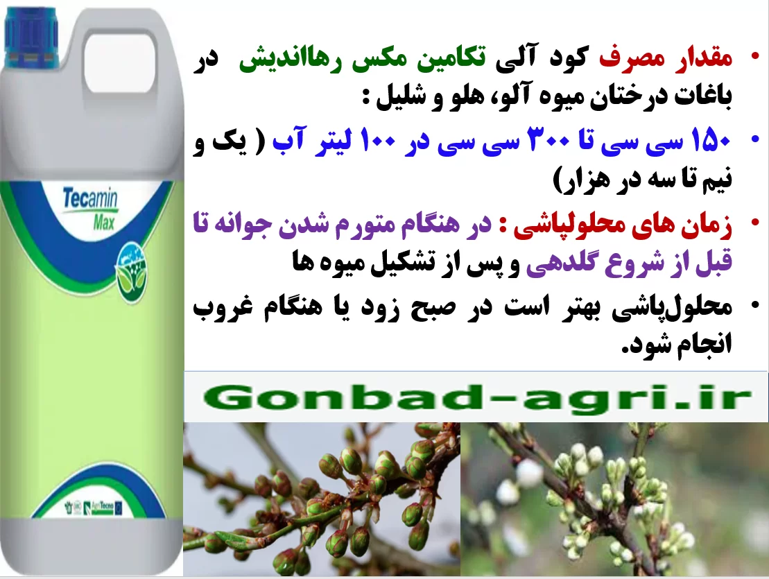 تاثیر کود تکامین مکس رهااندیش در شروع رشد جدید در باغات درختان میوه ]لو و هلو- قسمت دوم