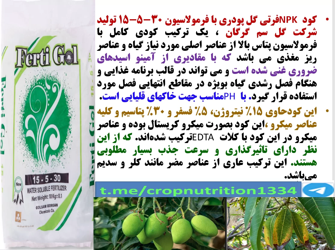 افزایش گلدهی و میوه دهی درختان انبه با کود فرتی گل ۳۰-۵-۱۵ گل سم – قسمت سوم