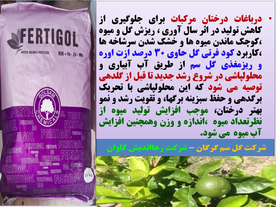 افزایش تولید و کیفیت میوه های مرکبات با کود فرتی گل  ازت۳۰% گل سم – قسمت اول