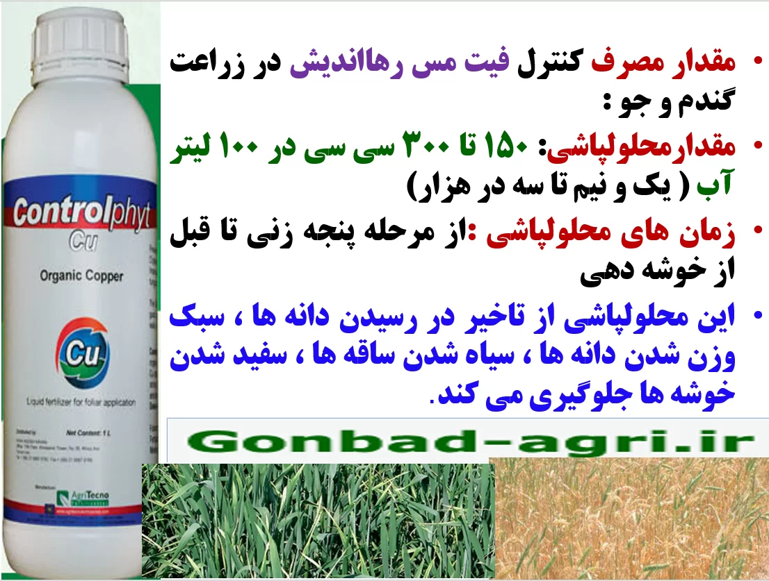اهمیت کاربرد کود کنترل فیت مس در زراعت گندم و جو – قسمت دوم