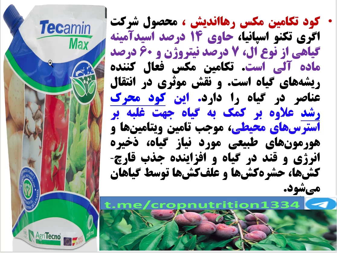 تاثیر کود تکامین مکس رهااندیش در شروع رشد جدید در باغات درختان میوه ]لو و هلو- قسمت سوم